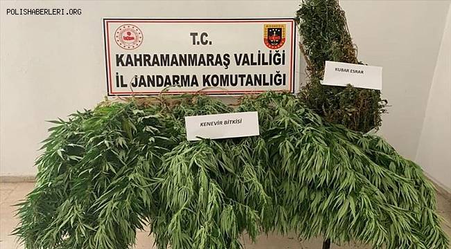 Kahramanmaraş'ta düzenlenen uyuşturucu operasyonunda 1 şüpheli gözaltına alındı