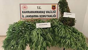 Kahramanmaraş'ta düzenlenen uyuşturucu operasyonunda 1 şüpheli gözaltına alındı