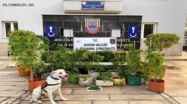 Mersin'de uyuşturucu operasyonu 