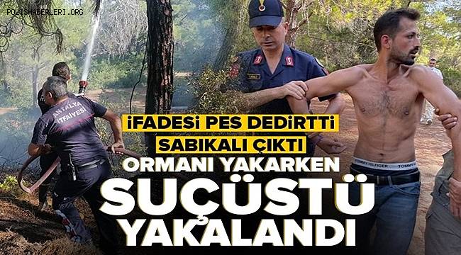 Ormanı yakarken suçüstü yakalanan şüpheli, yaralama ve uyuşturucudan sabıkalı çıktı