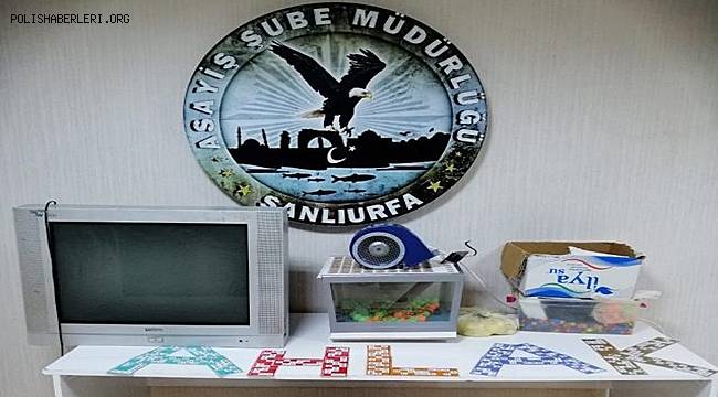 Şanlıurfa'da kumar oynayan 30 kişiye ceza