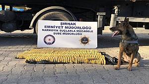 Şırnak'ta kaçakçılık ve asayiş operasyonlarına 5 tutuklama