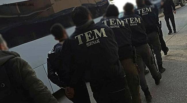 Şırnak'ta terör operasyonunda 5 şüpheli gözaltına alındı