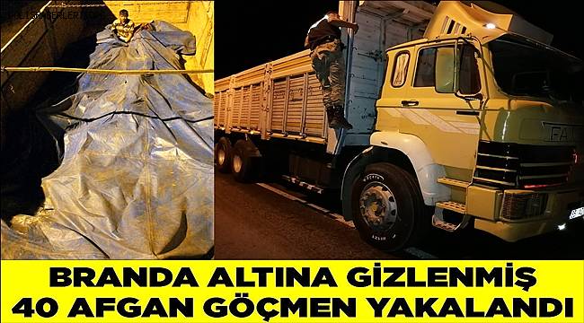 Van'da branda altına gizlenmiş 40 Afgan göçmen yakalandı