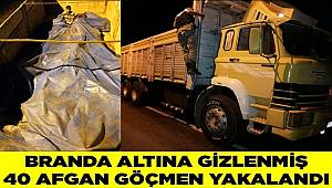 Van'da branda altına gizlenmiş 40 Afgan göçmen yakalandı