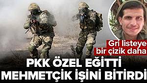 Gri listedeki PKK'lı terörist Şırnak'ta etkisiz hale getirildi