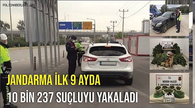 Jandarma ilk 9 ayda 10 bin 237 suçluyu yakaladı