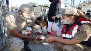 Jandarma, özel gereksinimli çocuklarla hayvan barınağını ziyaret etti