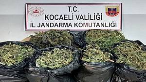Kocaeli'de 25 kilo 685 gram kubar esrar ele geçirildi 