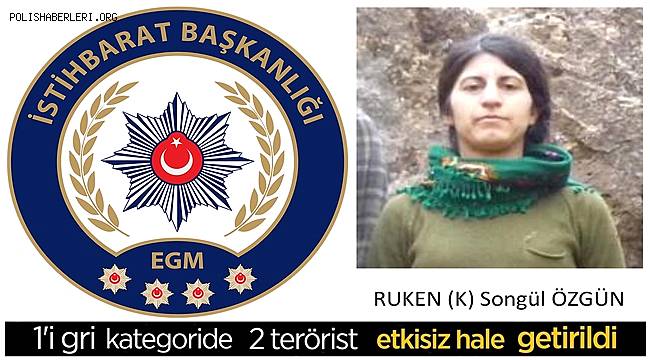 Mardin'de istihbarat ve özel harekat timlerince 2 teröristin etkisiz hale getirildi