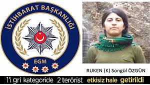 Mardin'de istihbarat ve özel harekat timlerince 2 teröristin etkisiz hale getirildi