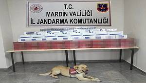 Mardin'de otobüste kaçak 4 bin 360 paket sigara ve 160 şişe içki ele geçirildi