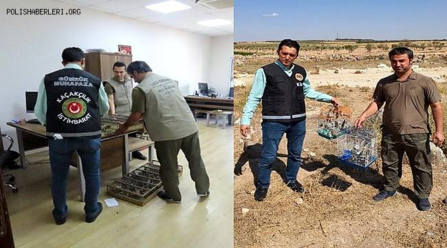 Saka kuşu kaçakçıları Kilis'te yakalandı