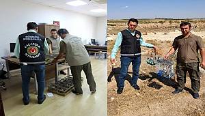 Saka kuşu kaçakçıları Kilis'te yakalandı