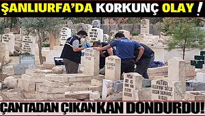 Şanlıurfa'da mezarlığa bırakılan çantada 2 aylık cansız bebek çıktı