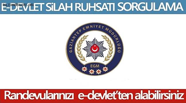 Silah Taşıma-Bulundurma ruhsatları için e-Devlet'ten randevu alınacak