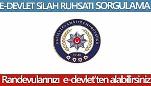 Silah Taşıma-Bulundurma ruhsatları için e-Devlet'ten randevu alınacak