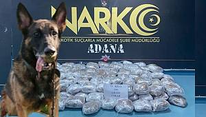 Adana'da 'Aşil' 1,5 milyon liralık uyuşturucu buldu
