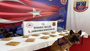 Bal tenekesine gizlenmiş 14 kilogram eroin bulundu