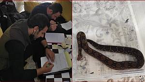 Boa yılanı besleyen kişiye bin 730 lira ceza