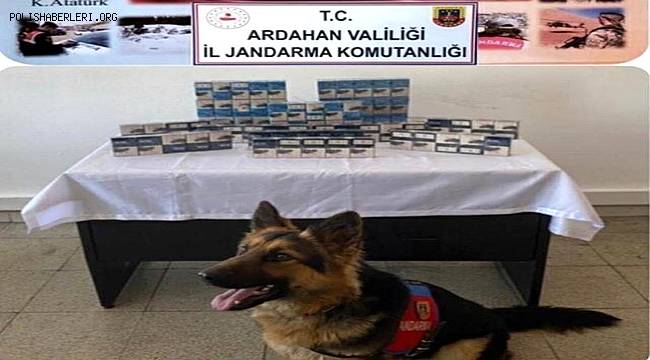 Ardahan'da kaçak sigara operasyonu 