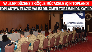 Düzensiz Göçle Mücadele İçin Valiler Toplandı