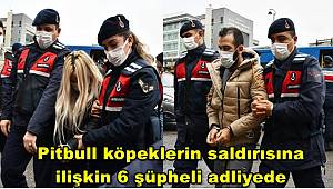 Gaziantep'te pitbull cinsi köpeklerin saldırısına ilişkin 6 şüpheli adliyede