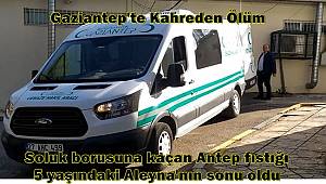 Gaziantep'te soluk borusuna kaçan Antep fıstığı 5 yaşındaki Aleyna'nın sonu oldu