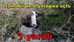 Manisa’da otomobil dere yatağına uçtu, 1 yaralı