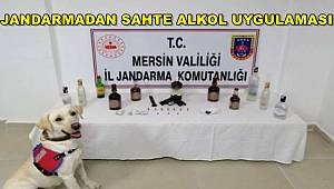 Mersin'de sahte alkol uygulaması