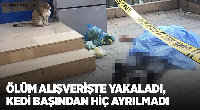 Ölüm alışverişte yakaladı, kedi başından hiç ayrılmadı