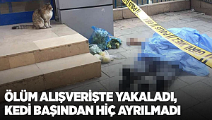 Ölüm alışverişte yakaladı, kedi başından hiç ayrılmadı
