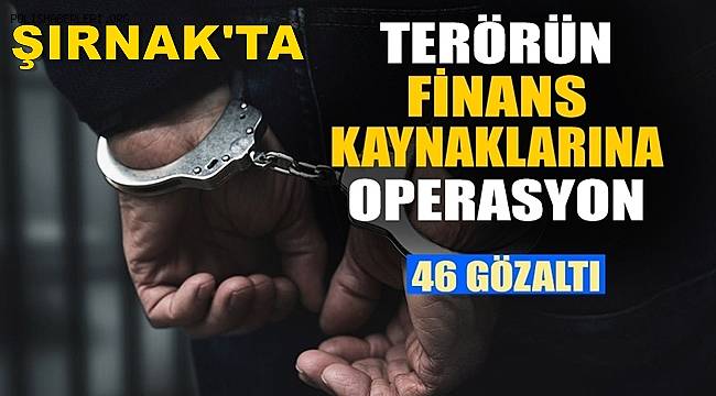 Şırnak'ta terörün finans kaynaklarına operasyon 46 gözaltı