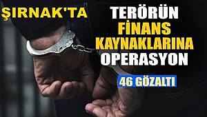 Şırnak'ta terörün finans kaynaklarına operasyon 46 gözaltı