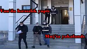 Van'da hırsızlık yaptı Muş'ta yakalandı 