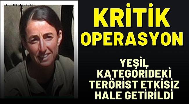 Yeşil kategoride aranan terörist Mardin'de etkisiz hale getirildi 
