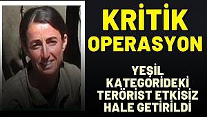Yeşil kategoride aranan terörist Mardin'de etkisiz hale getirildi