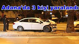 Adana'da refüjdeki ağaca çarpan otomobildeki 3 kişi yaralandı