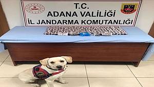 Adana'da uyuşturucu operasyonlarında 8 şüpheli yakalandı