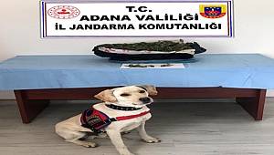 Adana'da uyuşturucu operasyonunda 2 gözaltı