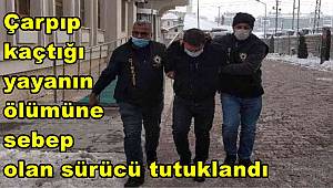 Çarpıp kaçtığı yayanın ölümüne sebep olan sürücü tutuklandı 