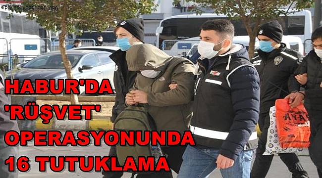 Habur’da 'rüşvet' operasyonunda 16 tutuklama 