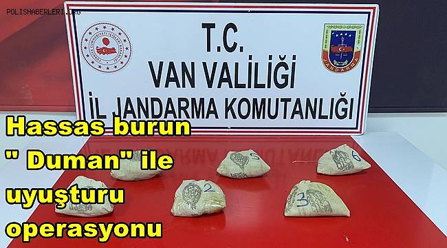 Hassas burun 