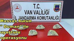Hassas burun 
