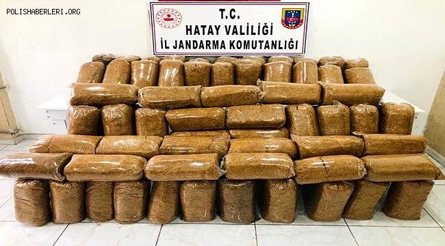 Hatay'da 450 kilo kaçak tütün ele geçirildi
