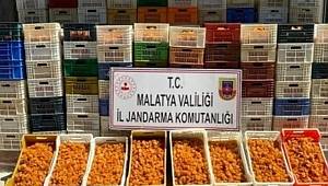 JASAT suçlulara göz açtırmadı