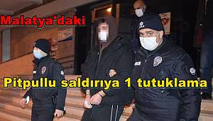 Malatya'daki pitpullu saldırıya 1 tutuklama