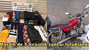 Mardin'de 5 hırsızlık zanlısı tutuklandı