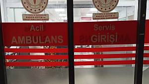 Mardin'de otomobilin çarptığı kadın hayatını kaybetti 