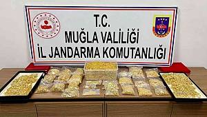Muğla'da gasp ettikleri 16 kilo altını toprağa gömdüler, jandarmadan kaçamadılar